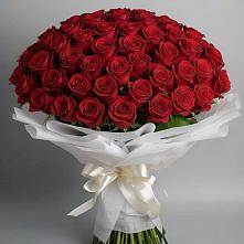 Букет 101 Красная роза Блэк Мэджик в Котово Новгородская область