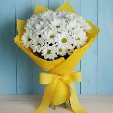 Букет цветов из:  Хризантемы в Котово Новгородская область