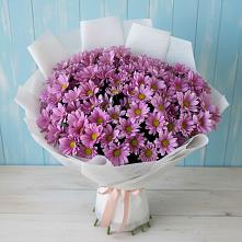 Букет цветов из:  Хризантемы в Котово Новгородская область