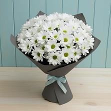 Букет цветов из:  Хризантемы в Котово Новгородская область
