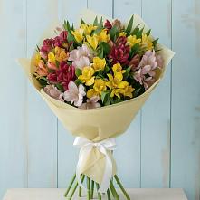 Букет цветов из:  Альстромерии в Котово Новгородская область